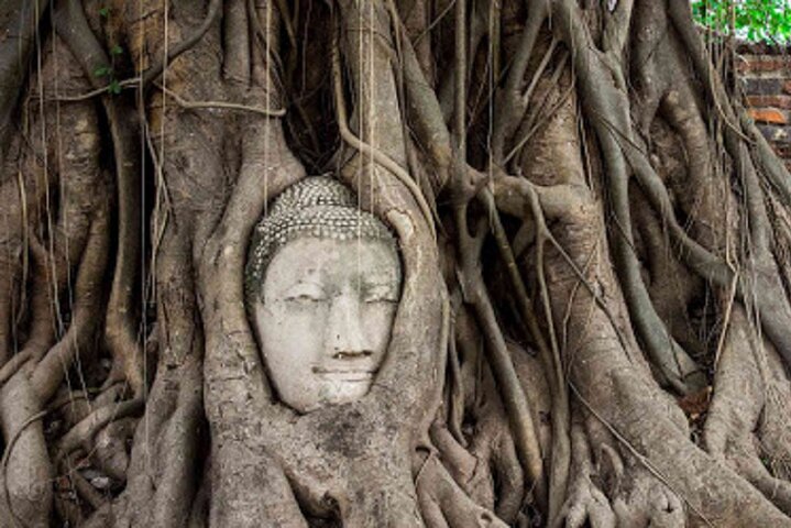 Top-rated Ayutthaya temples experience
